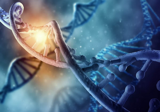 The Ultimate Biohacker’s Guide to Peptides for Fat Loss