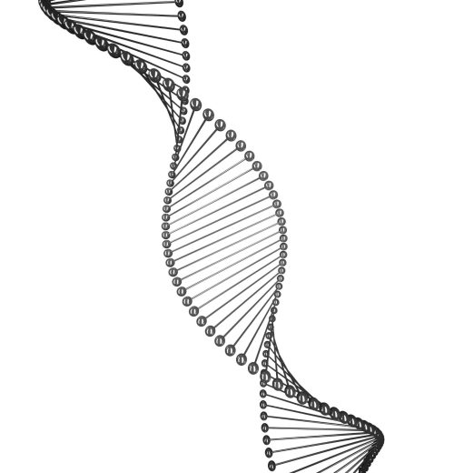 lab (16)